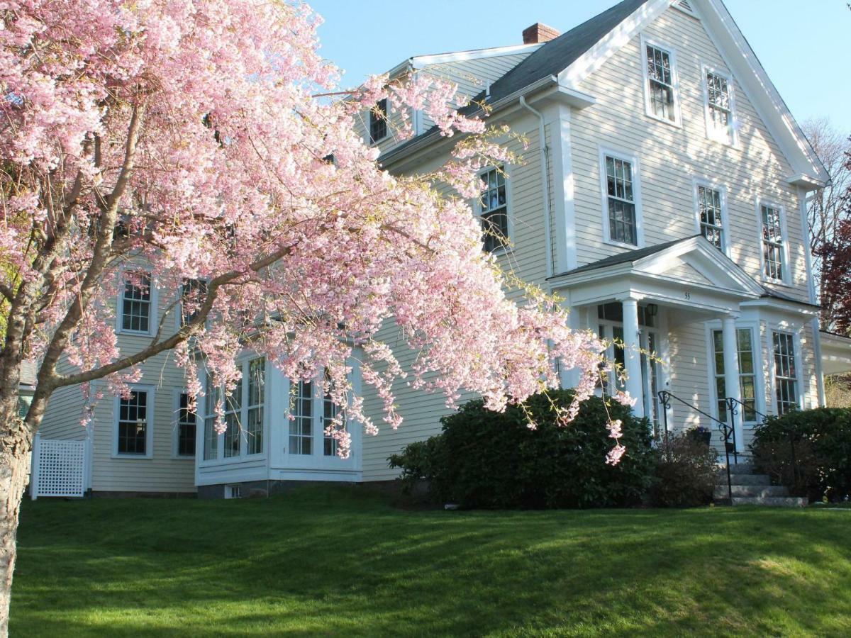 The Beech Tree B&B Rockport Kültér fotó